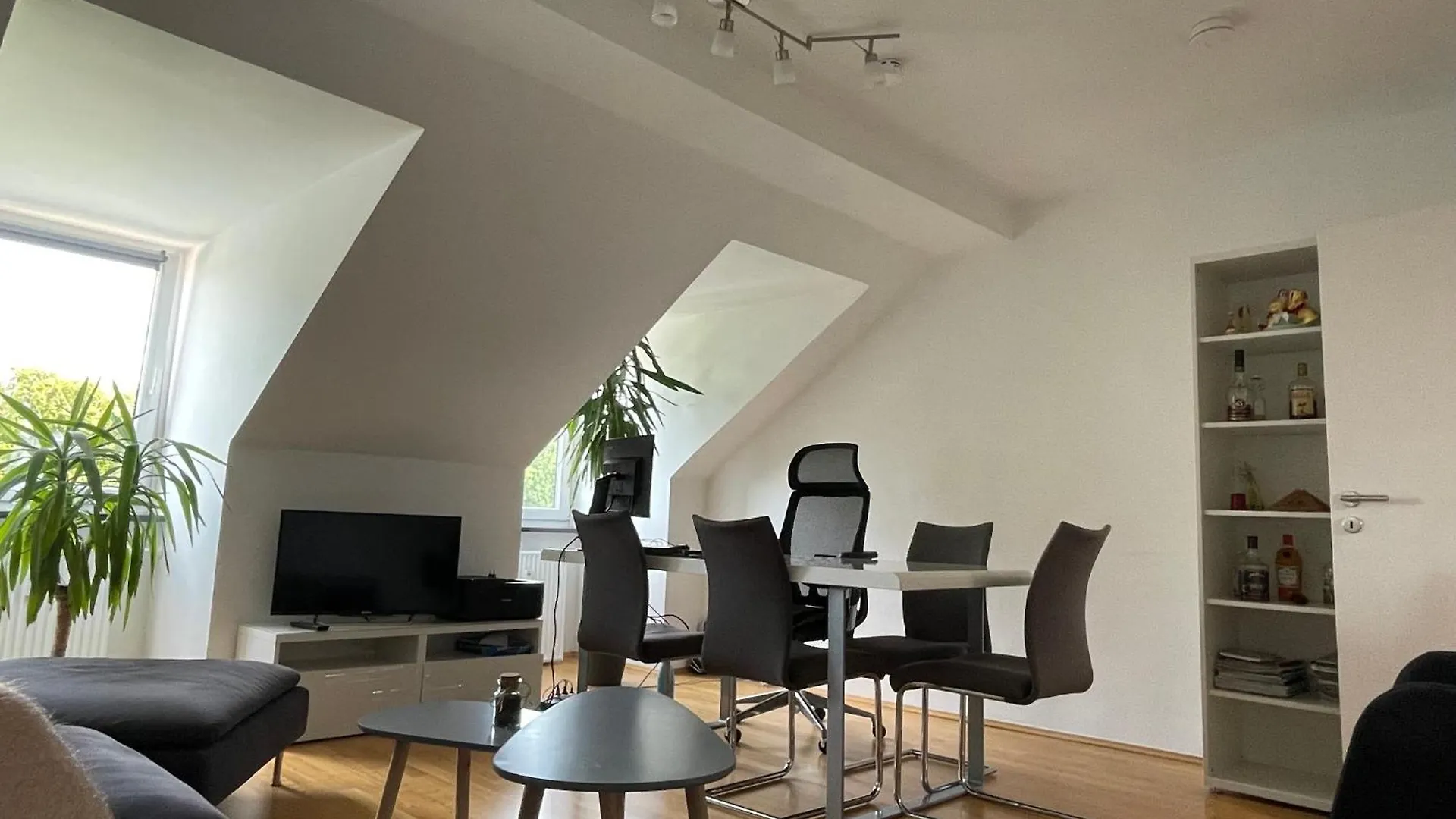 Apartment Penthouse - Englischer Garten View Munich